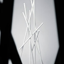images/hayman_d.jpg